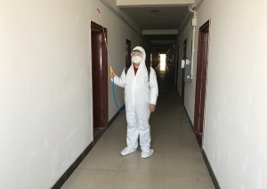 西安滅鼠公司給你介紹下老鼠的控制步驟有哪些！