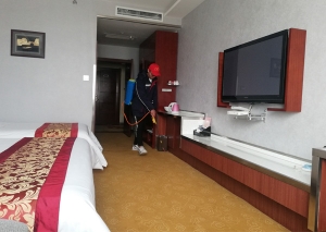 專(zhuān)業(yè)滅蟑螂公司